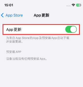 肇州苹果15维修中心如何让iPhone15APP自动更新